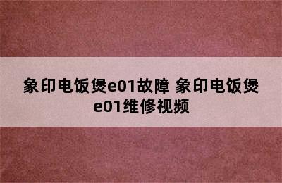 象印电饭煲e01故障 象印电饭煲e01维修视频